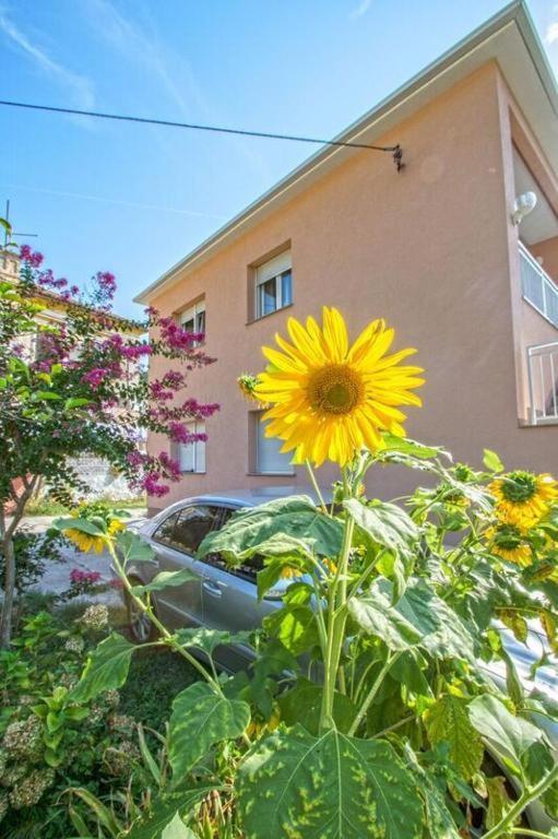 Apartman Studio Nena Crikvenica Ngoại thất bức ảnh